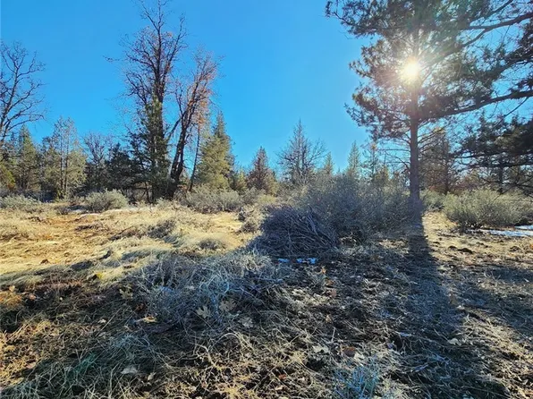 0 Roads End Rd, McArthur, CA 96056