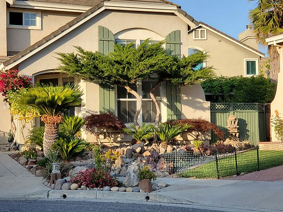 FRONT YARD: 
Sagos, Japanese palms, green cypress trees, blood red bougainvillea, giant succulents, and rock patterns orchestrate a unique low water design.