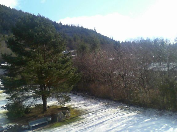 Large park like fenced yard