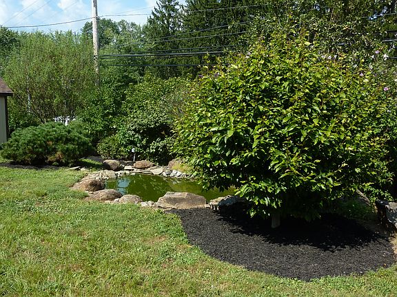 Back Yard Pond/Landscaping