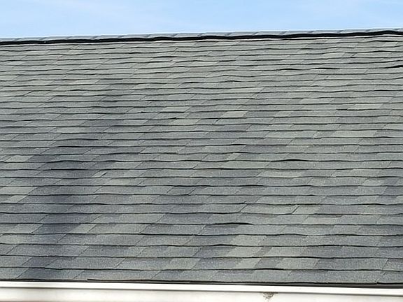 New architectural shingles - view four : Close-up view of the rear.
