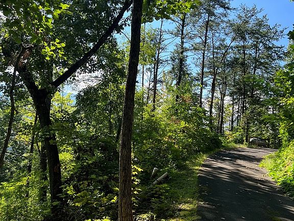 5th image of 1 Greystone Heights Rd