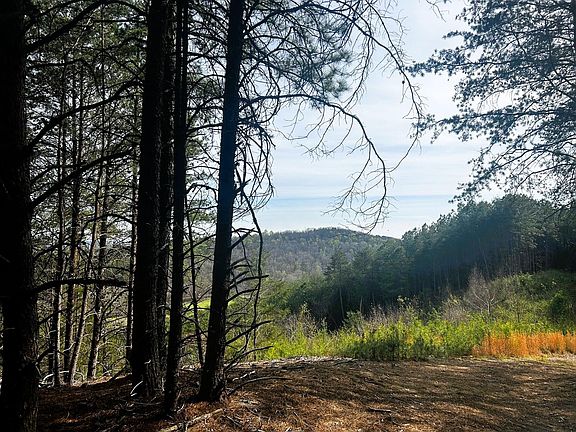 2nd image of 7 SW Owl Hollow Rd