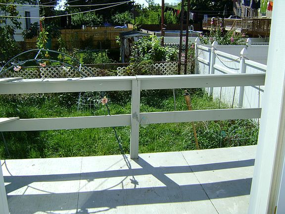 Back Porch and yard