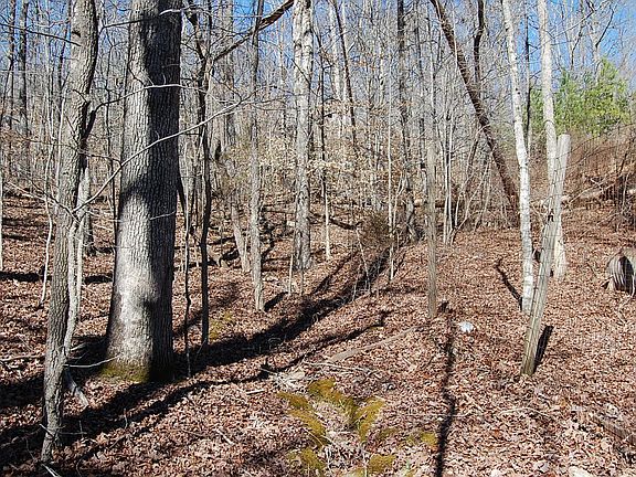 3rd image of 5 Pickett Cross Rd