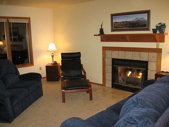 Gas Log Fireplace can be converted to wood if desired