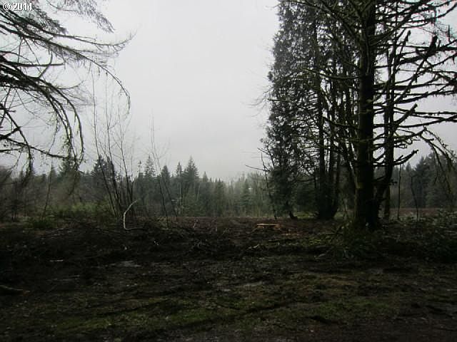 2nd image of 0 NE 60th Ave
