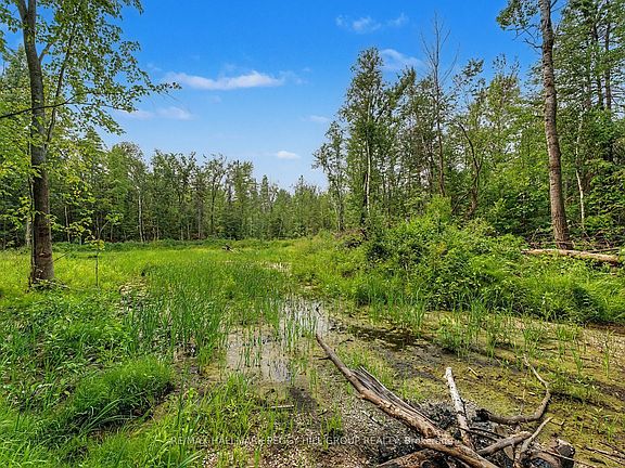 5th image of 6905 County Road 21