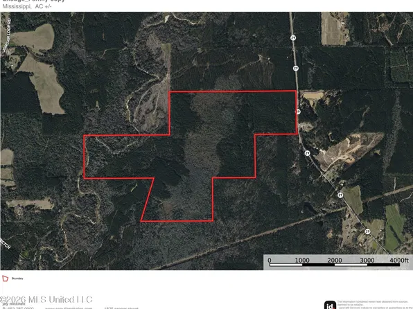 29 Ms, Ellisville, MS 39437