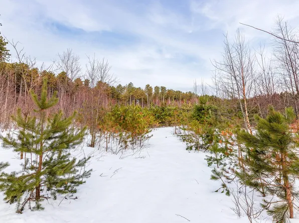 3219 Nugent Rd, Frankfort, MI 49635