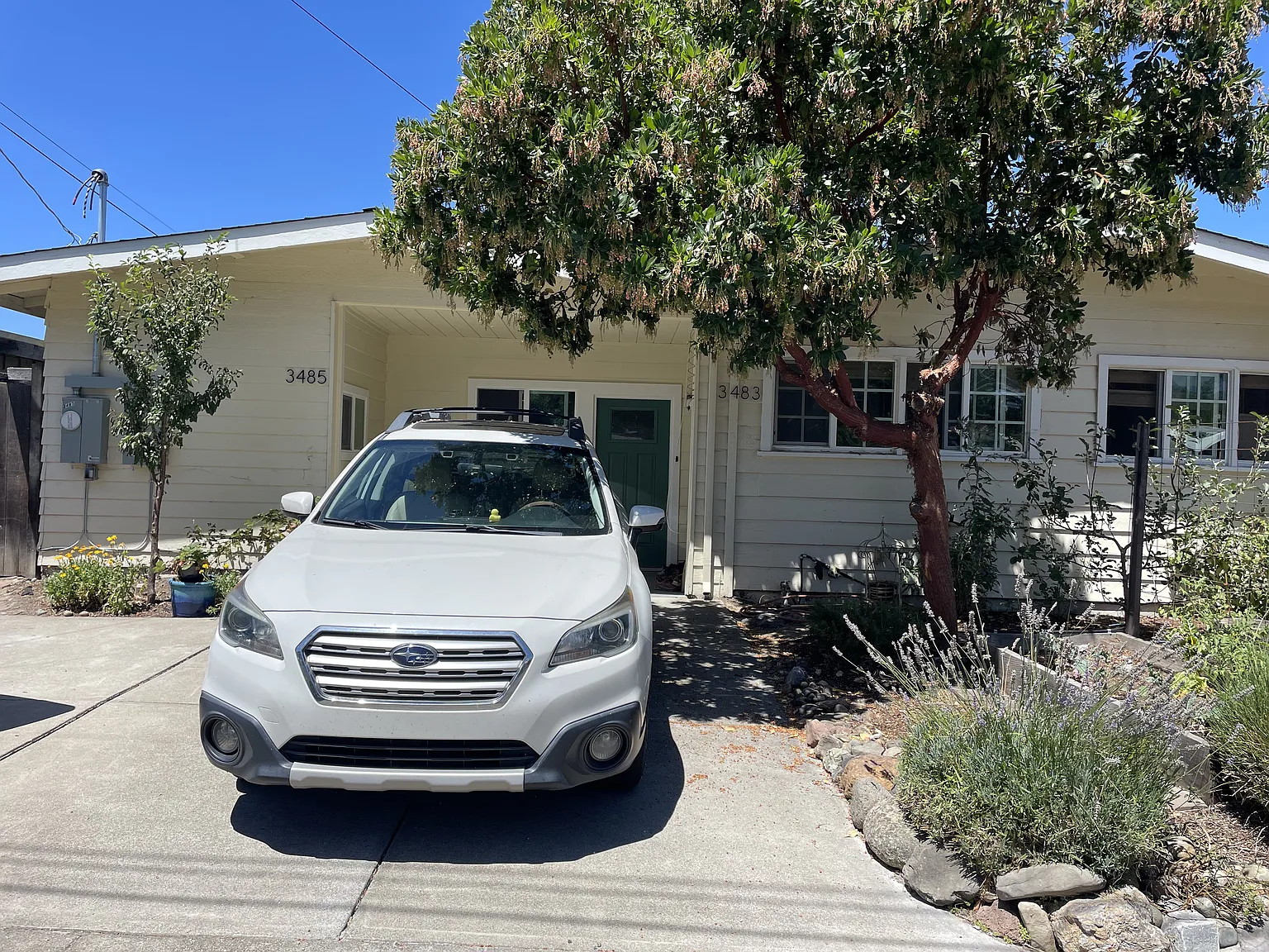 Studio, 330 sqft, $1,400 — Photo 3
