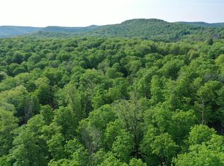 0 Canada Hollow Rd, Shinglehouse, PA 16748