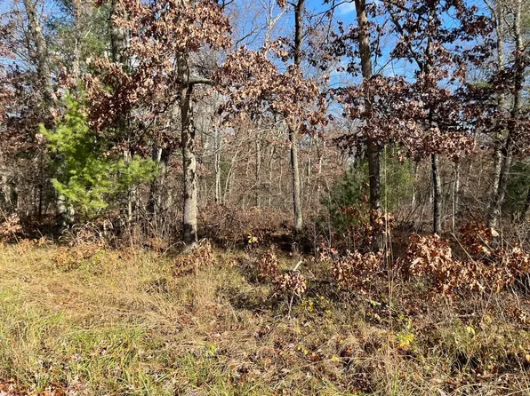 Snyder Rd, Wellston, MI 49689