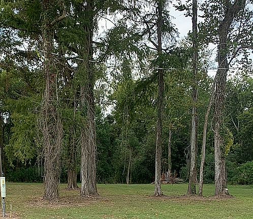 5th image of 2860 Atchafalaya River Hwy
