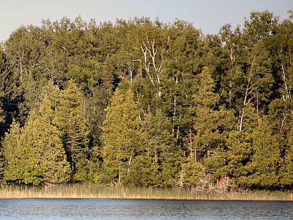 View from water - Fall