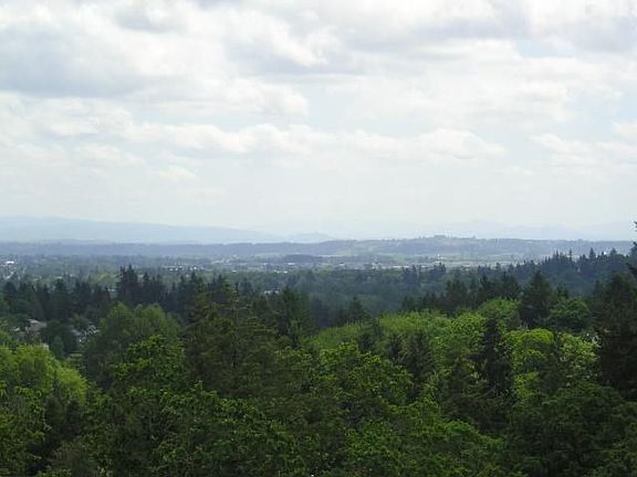 View from back deck