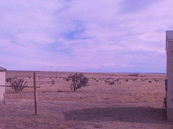 4th image of 94 Rambla Del Caballo