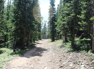 17677 Elk Park Rd LOT 17677, Black Hawk, CO 80422