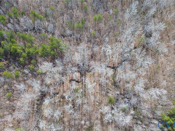 2nd image of 0 W Store Rd