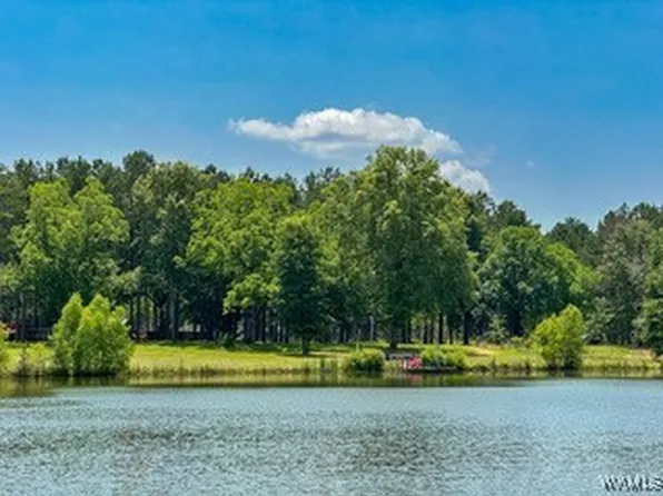 1800 County Road 188, Marion Junction, AL 36759