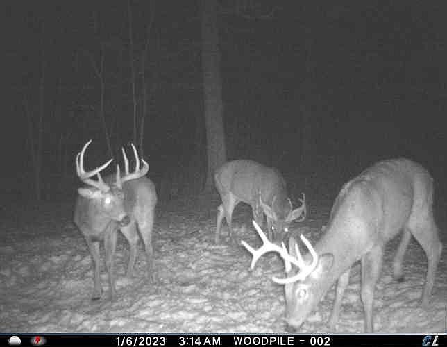 54008 VALENTINE LANE, Wauzeka, WI 53826 MLS 1837403 Zillow