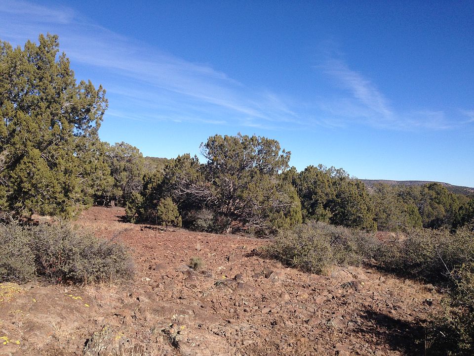 1st image of Unk Wapiti