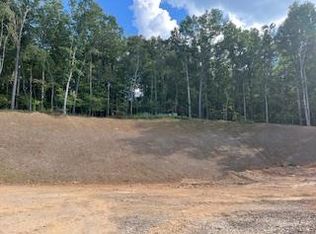 Na Shady Ln, Mineral Bluff, GA 30559