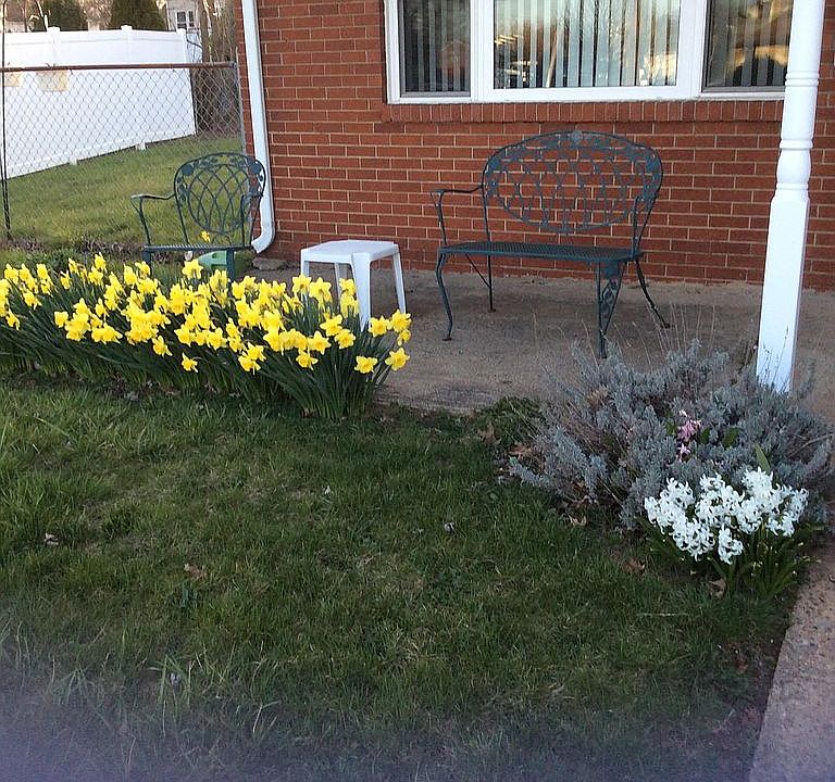 spring