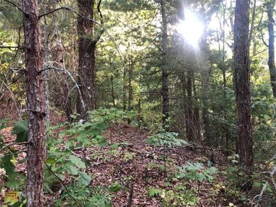0 Weatherby Trl #9, Jasper, GA, 30143