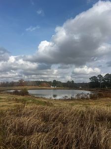 0 County Road 77, Arley, AL, 35541