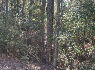 LOT 67/68 Wildwood Hbr Lot 67-68, Onalaska, TX 77360