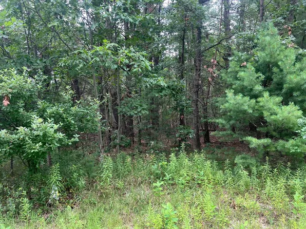 Whitehall Rd, Whitehall, MI 49461
