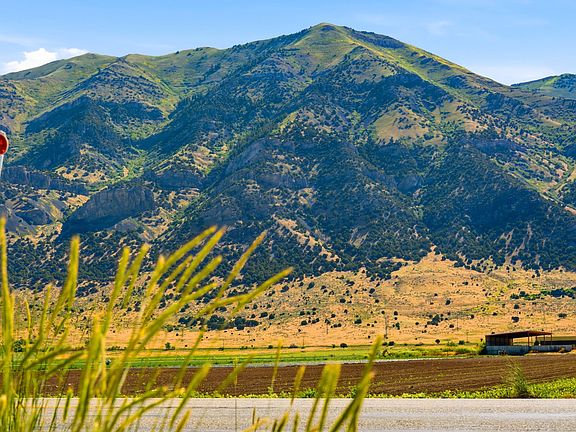 3rd image of 9141 N Highway 38