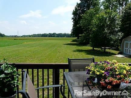 Back Deck view