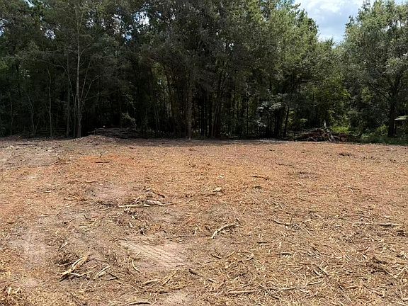 3rd image of 24820 Marks Rd