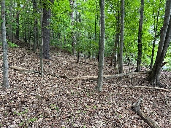 5th image of 56 Brattleboro Rd