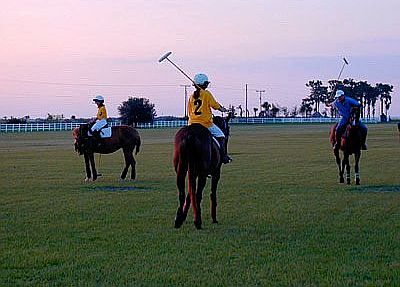 1st image of Cutting Horse Trl