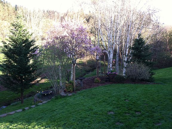 Flower Beds In The Backyard