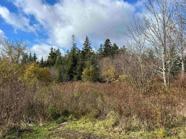 2936 Highway 3, Brass Hill, NS B0W 1E0