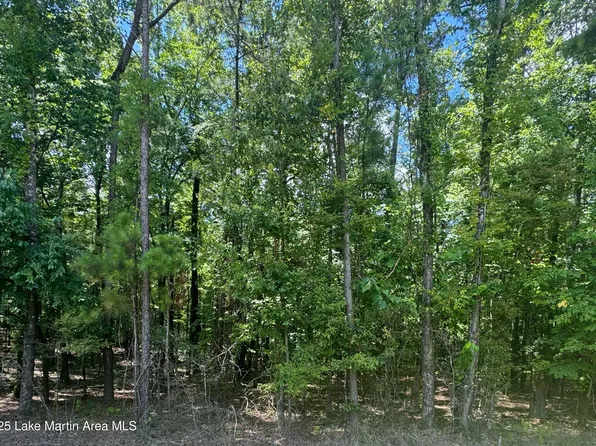 50 Vista Wood Dr, Dadeville, AL 36853