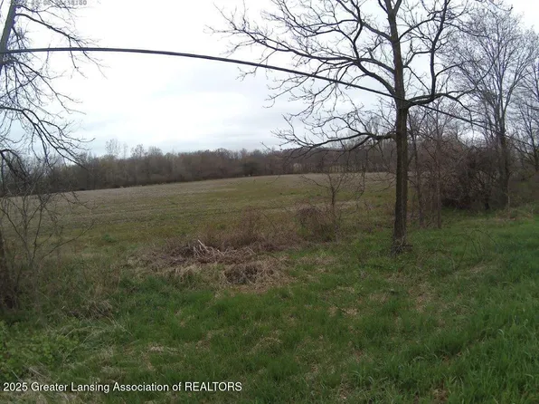Olds Rd, Leslie, MI 49251