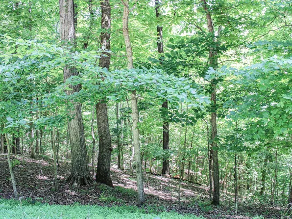 0 Algonquin Rd, Eddyville, KY 42038