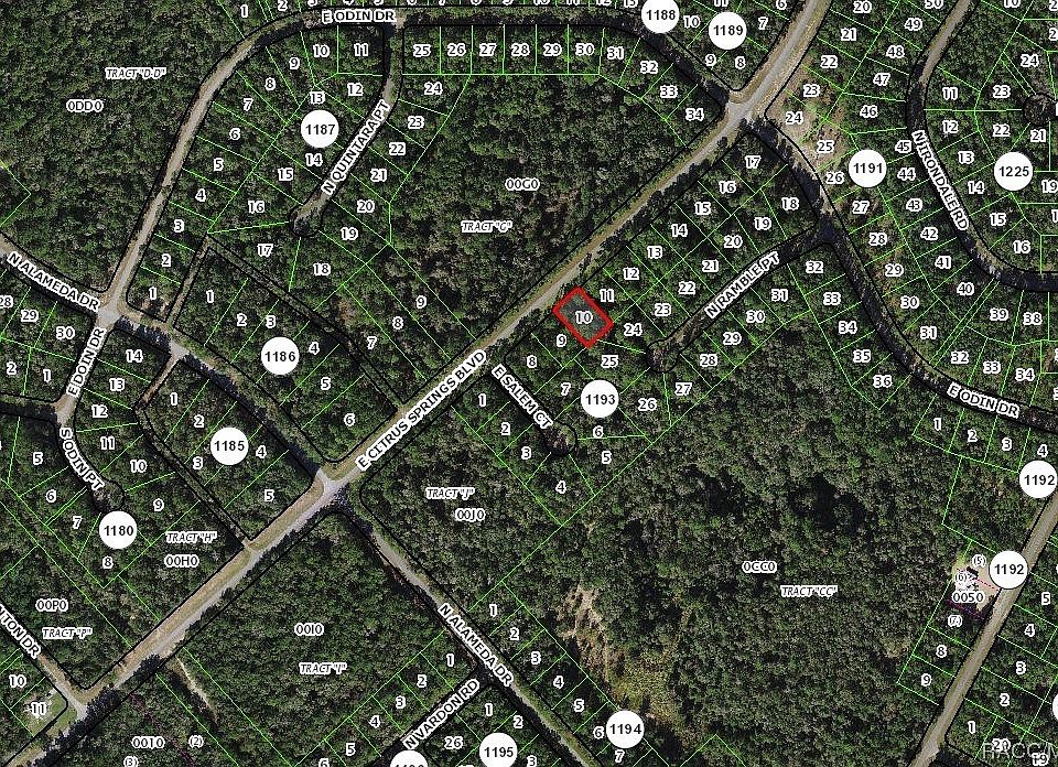 2nd image of 1136 E Citrus Springs Blvd