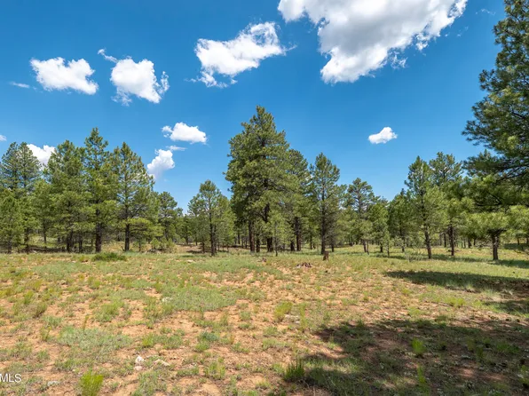 550 S 4th St, Flagstaff, AZ 86004