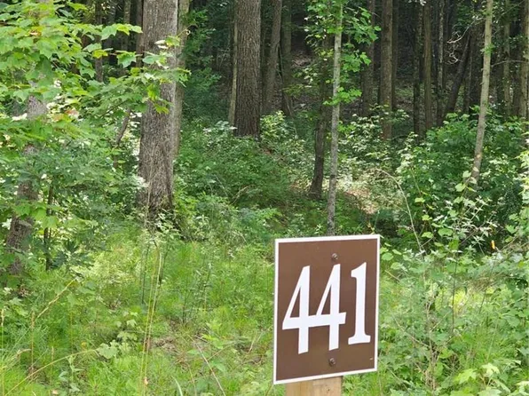 0 Twisted Oak Rd #441, Talking Rock, GA 30175