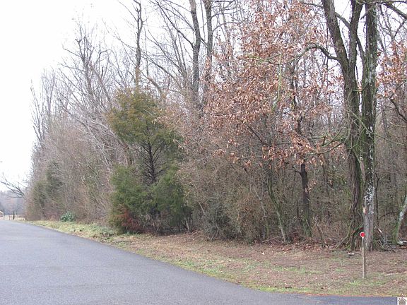 2nd image of 0 Rogers Loop