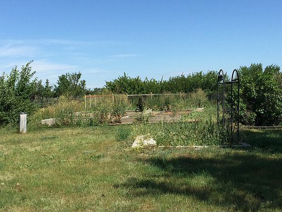 Back yard and garden