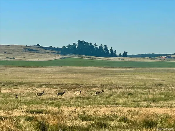 Craven Lot 1 LOT 1, Elbert, CO 80106