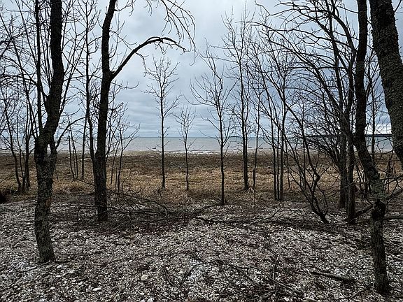 5th image of Wickman Rd