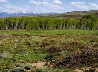 13 Red Cloud Ct, Montrose, CO 81403